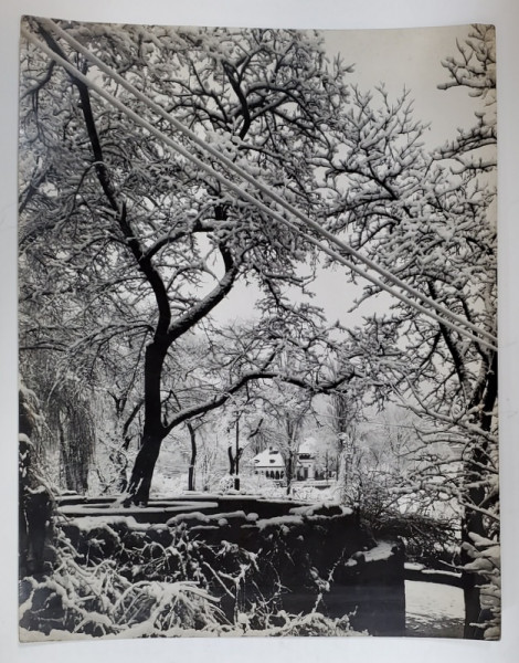 PARCUL CISMIGIU , IARNA , VEDERE SPRE RESTAURANTUL MONTE CARLO , FOTO . W. WEISS , INTERBELICA