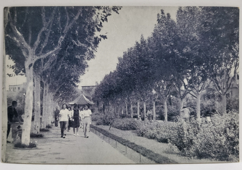 PARCUL SIAN - YAN SHANGHAI , CARTE POSTALA , ANII ' 50