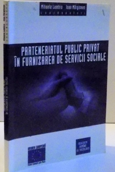 PARTENERIATUL PUBLIC PRIVAT IN FURNIZAREA DE SERVICII SOCIALE , 2004