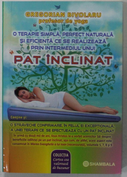 PAT INCLINAT de GREGORIAN BIVOLARU , O TERAPIE SIMPLA , 2019