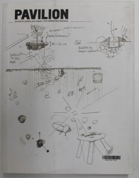 PAVILION NR. 13 - JOURNAL FOR POLITICS AND CULTURE / NR. 13 - MEDECINE SOCIALE , editors RAZVAN ION et IOANA NITU , 2009