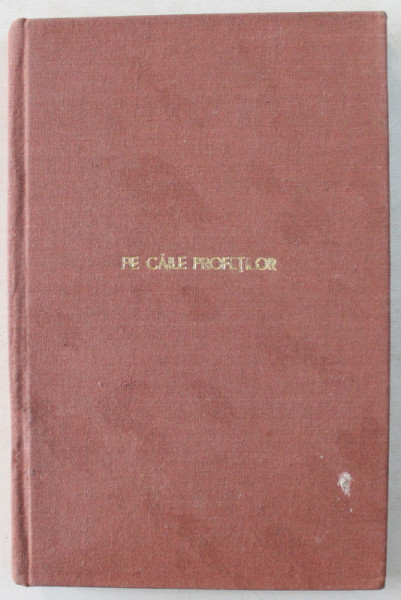 PE CAILE PROFETILOR , ATUNCI SI ACUM de I. CHIIRU NANOV ,  VOLUMUL I : CONSTANTINOPOLUL , EGIPTUL , EDITIA A II A , 1922
