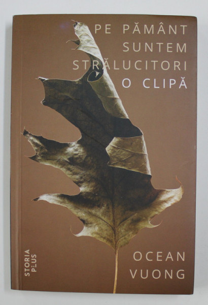 PE PAMANT SUNTEM STRALUCITORI O CLIPA de OCEAN VUONG , 2019