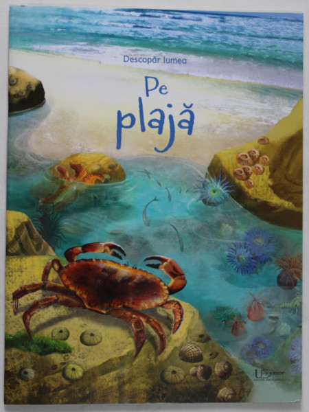 PE PLAJA , seria '' DESCOPAR LUMEA '' , text de EMILY BONE , ilustratii de CINZIA BATTISTEL , 2020