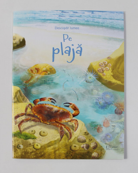 PE PLAJA , text de EMILY BONE , ilustratii de CINZIA BATTISTEL , 2020