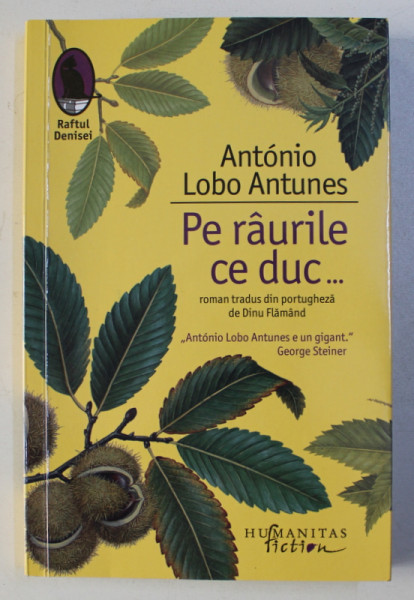 PE RAURILE CE DUC ...roman de ANTONIO LOBO ANTUNES , 2018