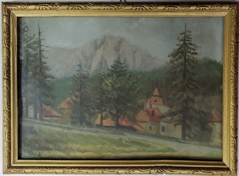 Peisaj de munte - Semnat indescifrabil