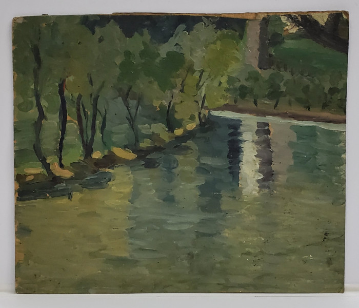 Peisaj din Delta, Nesemnat