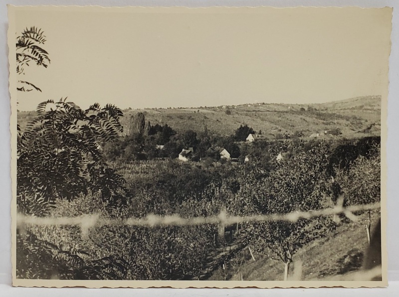 PEISAJ IN ZONA COLINARA , FOTO. W. WEISS , FOTOGRAFIE , INTERBELICA
