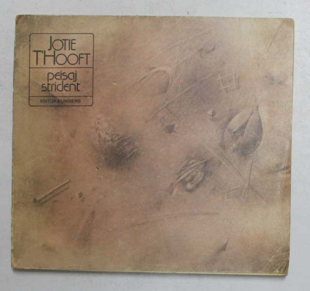 PEISAJ STRIDENT de JOTIE T 'HOOFT , 1981