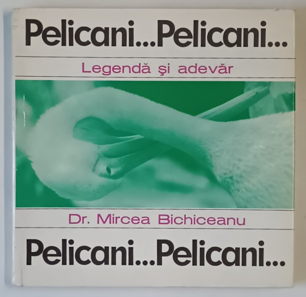PELICANI ... PELICANI ... , LEGENDA SI ADEVAR de MIRCEA BICHICEANU , 1973