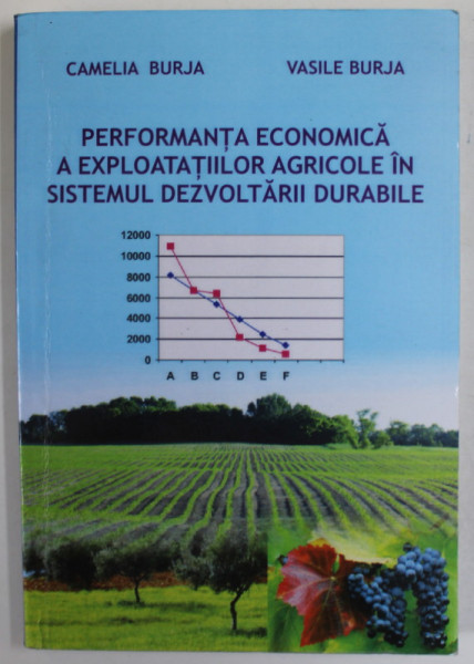 PERFORMANTA ECONOMICA A EXPLOATARILOR AGRICOLE IN SISTEMUL DEZVOLTARII DURABILE de CAMELIA BURJA si VASILE BURJA , 2008