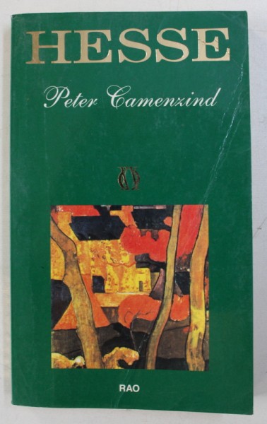 PETER CAMENZIND de HERMANN HESSE , 2001
