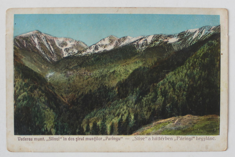 PETROSENI , VEDEREA MUNTELUI SILVEI , IN SPATE SIRUL MUNTILOR PARANG , CARTE POSTALA , 1926