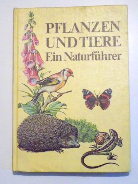 PFLANZEN UND TIERE - EIN NATURFUHRER de CHRISTOPH NEEDON...BERND SCHEIBA, 1988