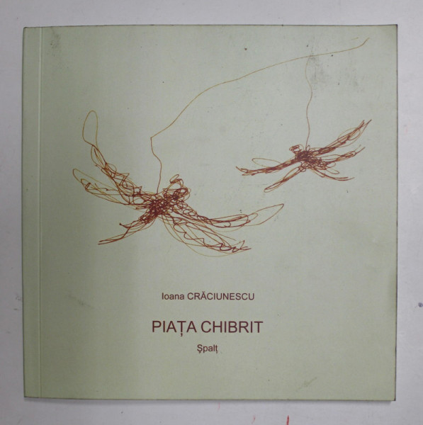 PIATA CHIBRIT - SPALT , versuri de IOANA CRACIUNESCU , 2008