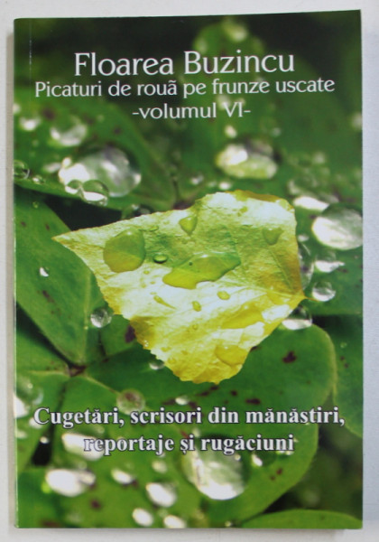PICATURI DE ROUA PE FRUNZE USCATE - CUGETARI , SCRISORI DIN MANASTIRI , REPORTAJE SI RUGACIUNI , VOLUMUL VI de FLOAREA BUZINCU