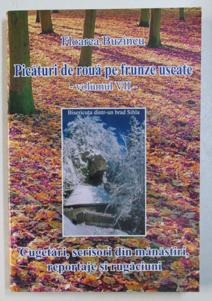 PICATURI DE ROUA PE FRUNZE USCATE - CUGETARI , SCRISORI DIN MANASTIRI , REPORTAJE SI RUGACIUNI , VOLUMUL VII de FLOAREA BUZINCU
