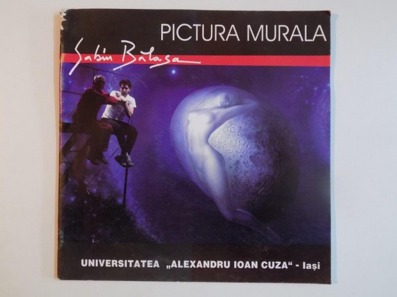 PICTURA MURALA de SABIN BALASA