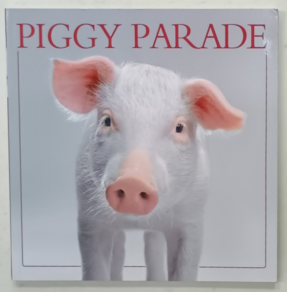 PIGGY  PARADE , 2011