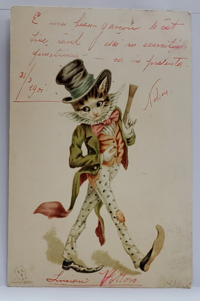 PISICA CU FRAC SI JOBEN , DESEN SATIRIC , CROMOLITOGRAFIE , CARTE POSTALA , CLASICA