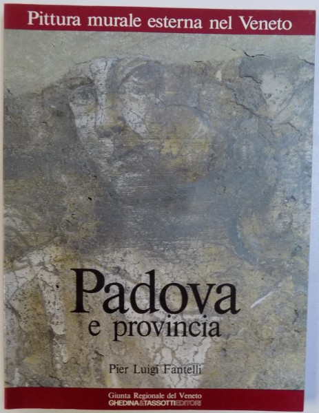 PITTURA MURALE ESTERNA NEL VENETO  - PADOVA E PROVINCIA di PIER LUIGI FANTELLI , 1989