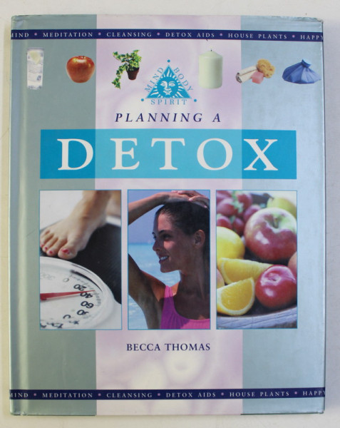 PLANNING A DETOX by BECCA THOMAS , 2002