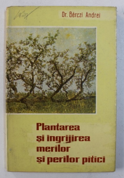 PLANTAREA SI INGRIJIREA MERILOR SI PERILOR PITICI de BERCZI ANDREI , 1962