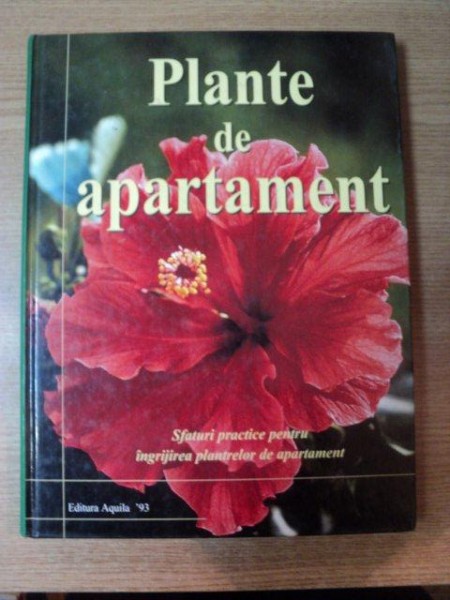 PLANTE DE APARTAMENT de JANE COURTIER , 2001