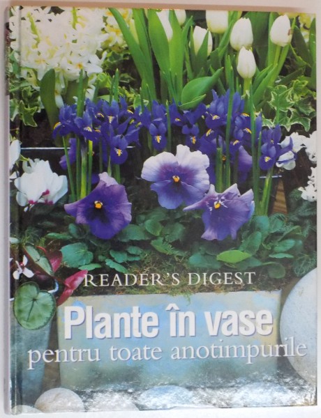 PLANTE IN VASE PENTRU TOATE ANOTIMPURILE , 2001