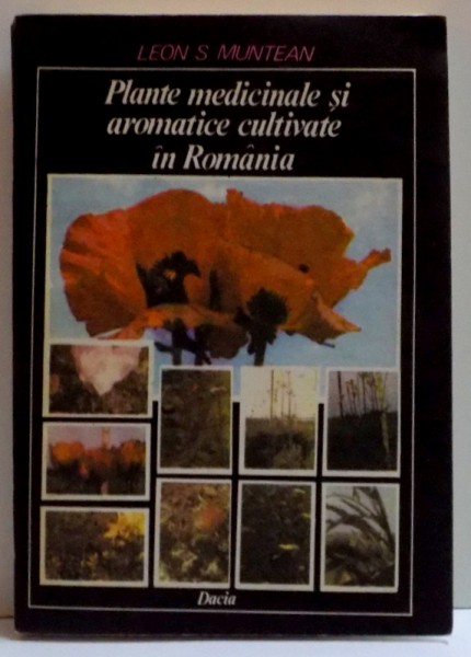 PLANTE MEDICINALE SI AROMATICE CULTIVATE IN ROMANIA , 1990