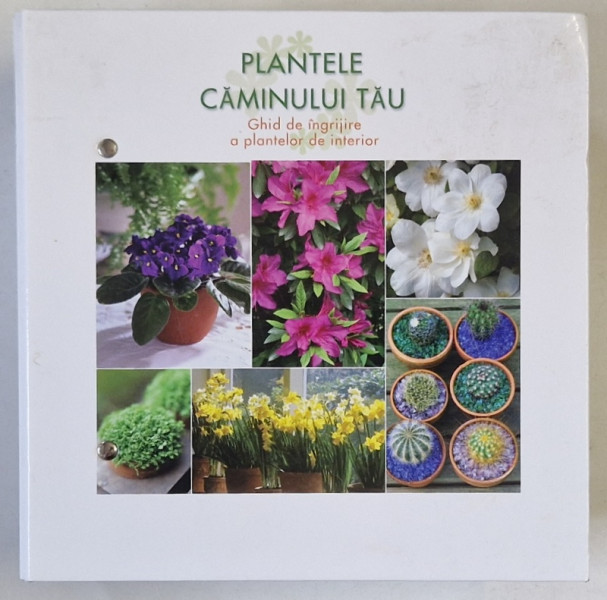 PLANTELE CAMINULUI TAU , GHID DE INGRIJIRE A PLANTELOR DE INTERIOR , GRUPELE 2 - 3