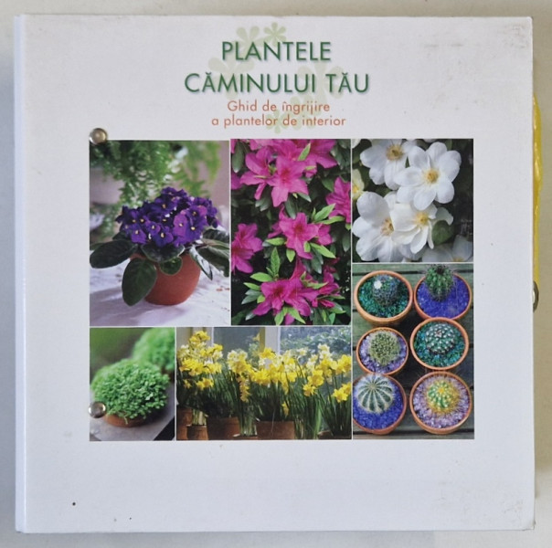 PLANTELE CAMINULUI TAU , GHID DE INGRIJIRE A PLANTELOR DE INTERIOR , GRUPELE 6 - 7