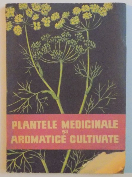 PLANTELE MEDICINALE SI AROMATICE CULTIVATE , INDRUMARI PRACTICE PENTRU CULTIVATORI , 1962