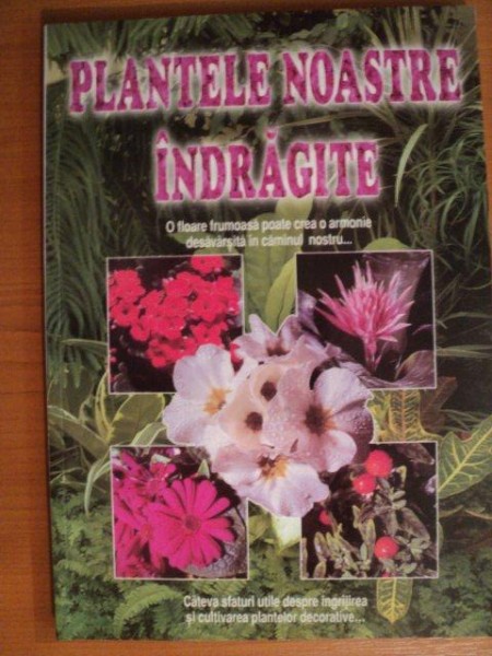 PLANTELE NOASTRE INDRAGITE,1996