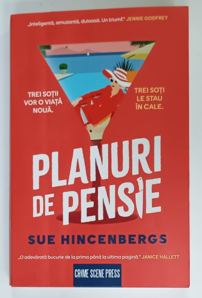 PLANURI DE PENSIE de SUE HINCENBERGS , 2025 , PREZINTA URME DE INDOIRE SI DE UZURA