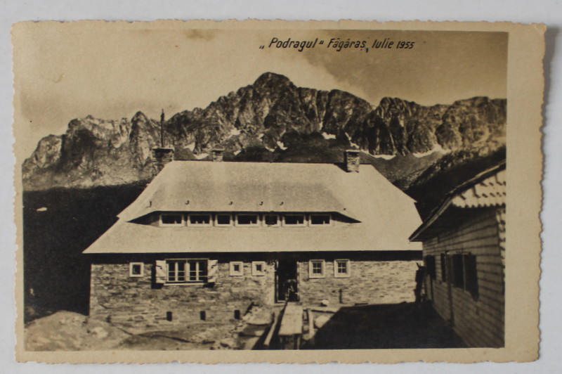 ' PODRAGUL ' , FAGARAS , FOTOGRAFIE , IULIE , 1955