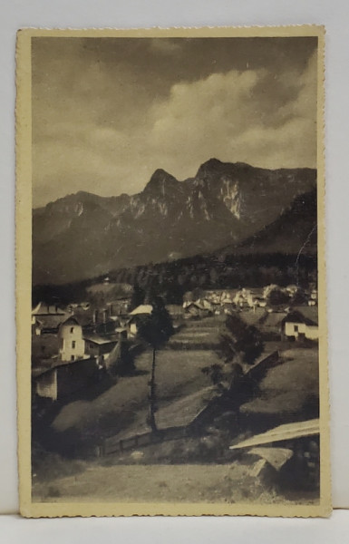 POIANA TAPULUI - VEDERE LUATA DE PE ZAMORA , FOTOGRAFIE DE FH . PETRESCU ' LA GABY ' , POIANA TAPULUI , TIP CARTE POSTALA , 1943