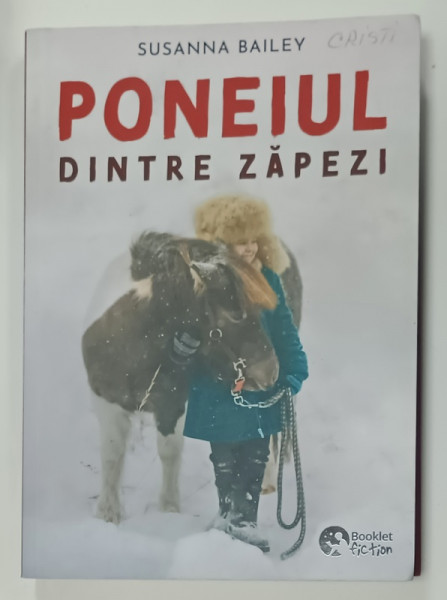 PONEIUL DINTRE ZAPEZI de SUSANNA BAILEY , 2024