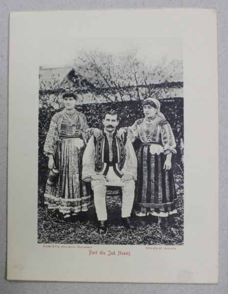 PORT POPULAR DIN JUDETUL NEAMT   , COLECTIA  AL. ANTONIU , INCEPUTUL SEC. XX