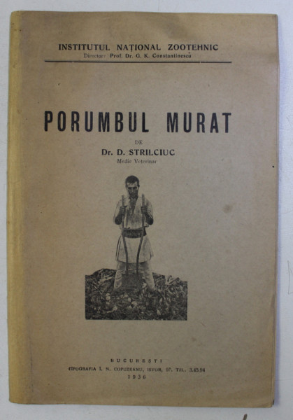 PORUMBUL MURAT de D. STRILCIUC , 1936
