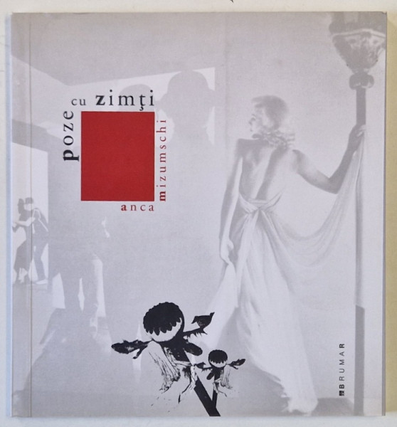 POZE CU ZIMTI de ANCA MIZUMSCHI , VERSURI , 2008