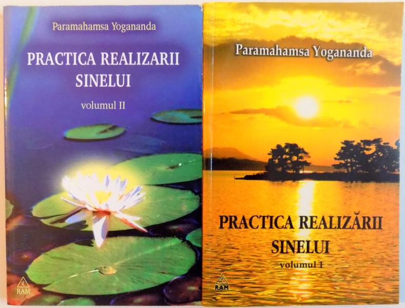 PRACTICA REALIZARII SINELUI , VOL. I-II , 2004