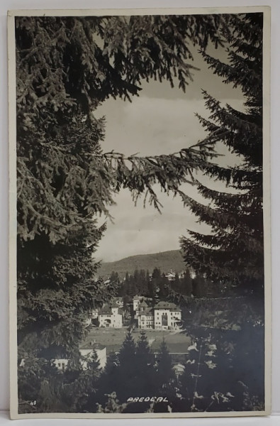 PREDEAL , HOTELUL  '' PREDEAL PALACE '' , CARTE POSTALA ILUSTRATA , 1942