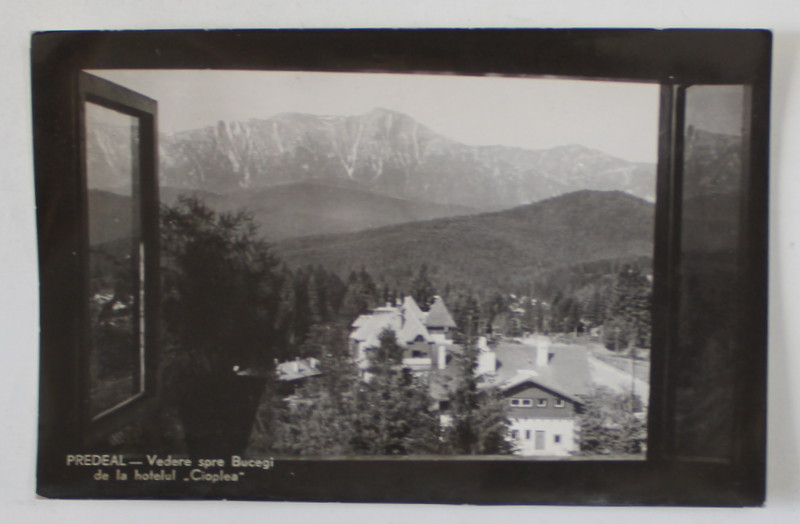 PREDEAL , VEDERE SPRE BUCEGI DE LA HOTELUL ' CIOPLEA ' , CARTE POSTALA , 1960