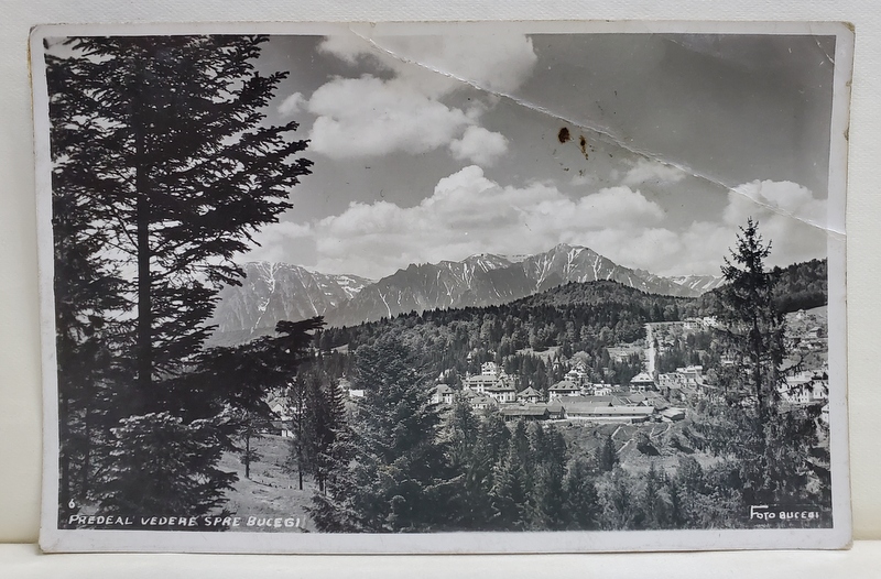 PREDEAL , VEDERE SPRE BUCEGI , FOTOGRAFIE TIP CARTE POSTALA , 1943