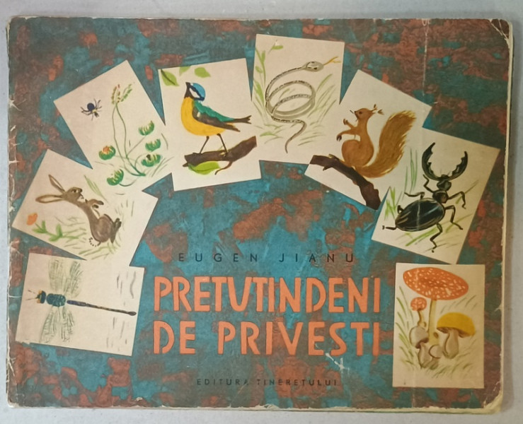 PRETUTINDENI DE PRIVESTI de EUGEN JIANU , ilustratii de ILEANA CEAUSU , 1963, PREZINTA  URME DE UZURA