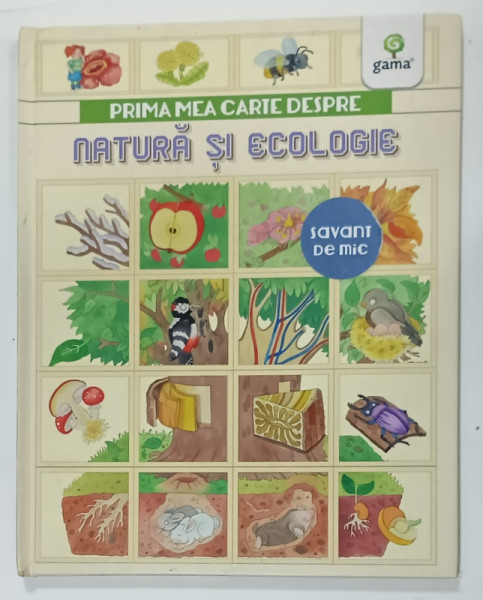 PRIMA MEA CARTE DESPRE NATURA SI ECOLOGIE de RENZO BARSOTTI , ilustratii ELEONORA BARSOTTI , 2017