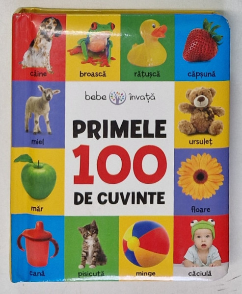 PRIMELE 100 DE CUVINTE , SERIA ' BEBE INVATA ' , 2019