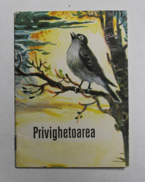 PRIVIGHETOAREA , text dupa SIMION FLOREA MARIAN , coperta si ilustratii de COCA CRETOIU - SEINESCU , 1975